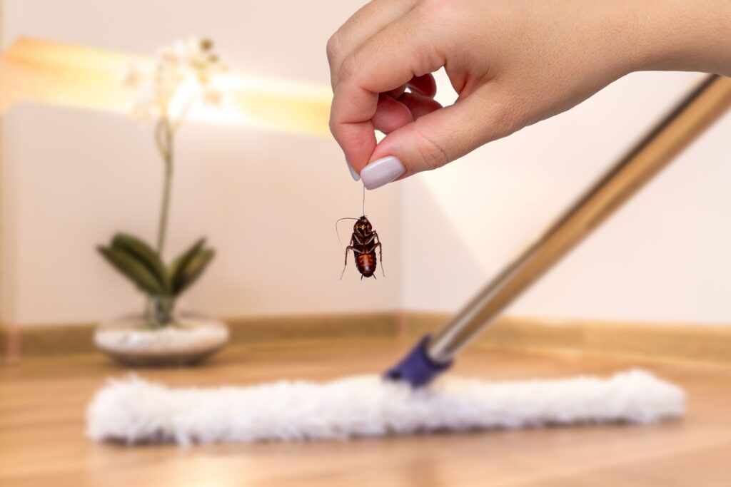 Why_Most People Ignore Pests (and Why It’s Deadly)